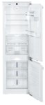 ICBN 3376 Premium