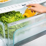 BioFresh