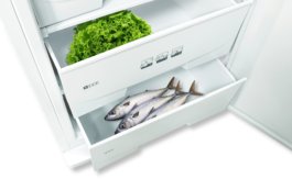 Наличие морозильной камеры