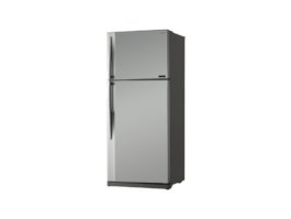 Toshiba GR-RG70UD-L (GS)