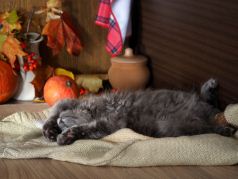 Тихая работа